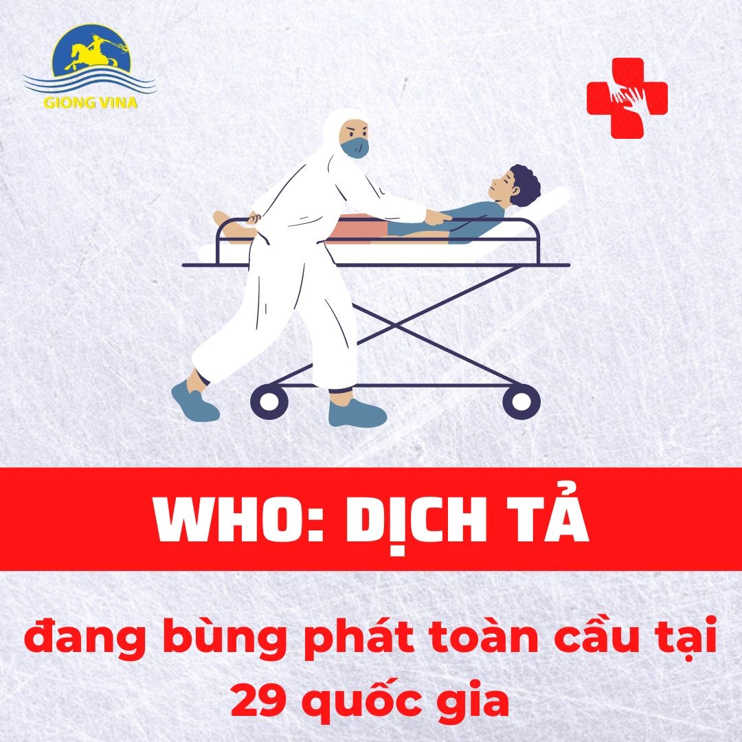 WHO: Dịch tả đang bùng phát toàn cầu tại 29 quốc gia