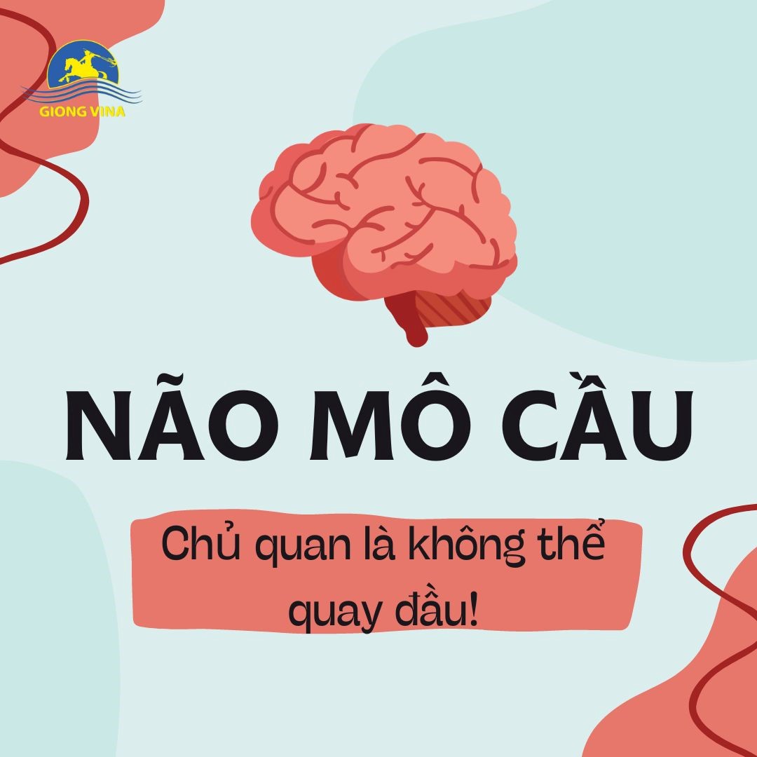 Não mô cầu – Chủ quan là không thể quay đầu!