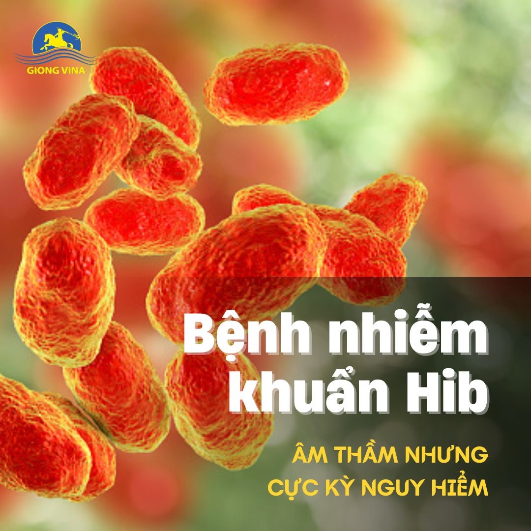 Bệnh nhiễm khuẩn do Hib – Âm thầm nhưng cực kỳ nguy hiểm