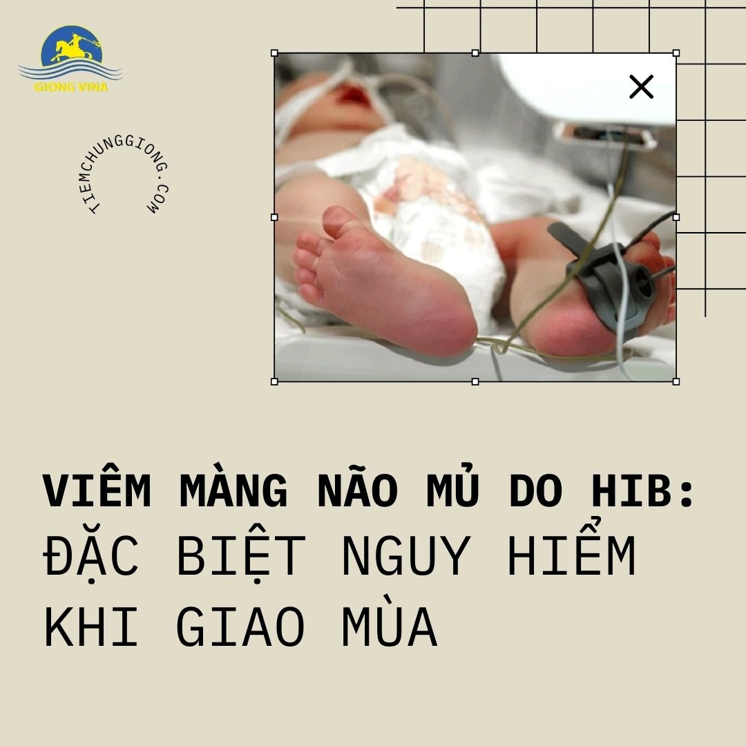 VIÊM MÀNG NÃO MỦ DO HIB: ĐẶC BIỆT NGUY HIỂM KHI GIAO MÙA