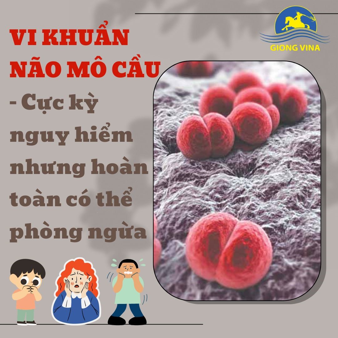 Vi khuẩn não mô cầu – Cực kỳ nguy hiểm nhưng hoàn toàn có thể phòng ngừa