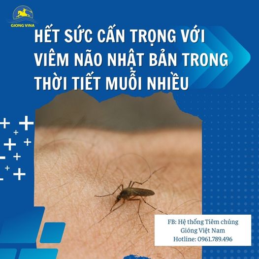 Hết sức cẩn trọng với Viêm não Nhật Bản trong thời tiết muỗi nhiều