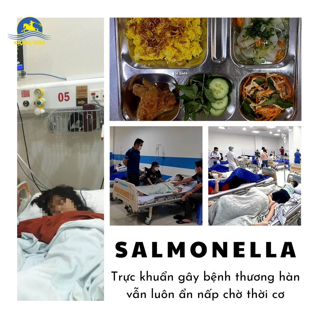 Salmonella - Trực khuẩn gây bệnh thương hàn vẫn luôn ẩn nấp chờ thời cơ