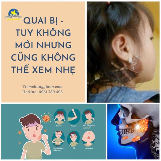 Quai bị - Tuy không mới nhưng cũng không thể xem nhẹ!