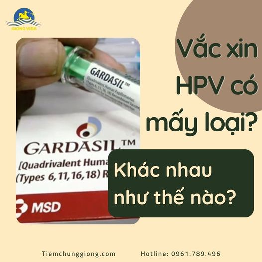 Vắc xin HPV có mấy loại? Khác nhau như thế nào?