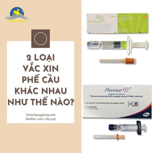 2 loại vắc xin phế cầu khác nhau như thế nào?