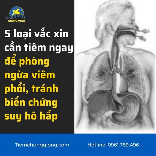 5 loại vắc xin cần tiêm ngay để phòng ngừa viêm phổi, tránh biến chứng suy hô hấp