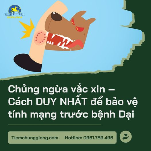 Chủng ngừa vắc xin - Cách DUY NHẤT để bảo vệ tính mạng trước bệnh Dại