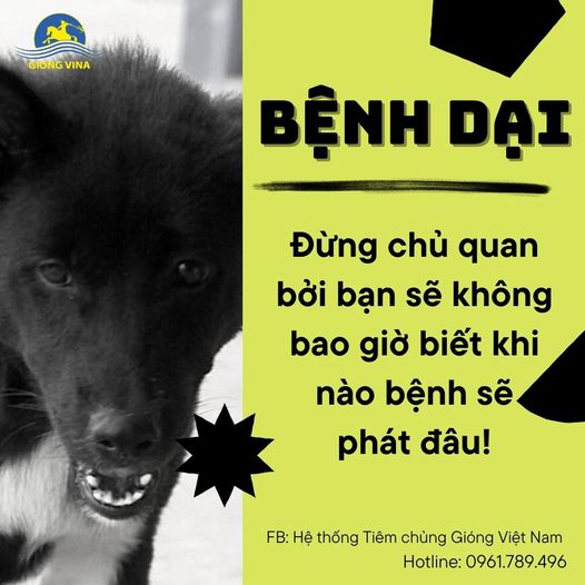 Bệnh dại - Đừng chủ quan bởi bạn sẽ không bao giờ biết khi nào bệnh sẽ phát đâu!