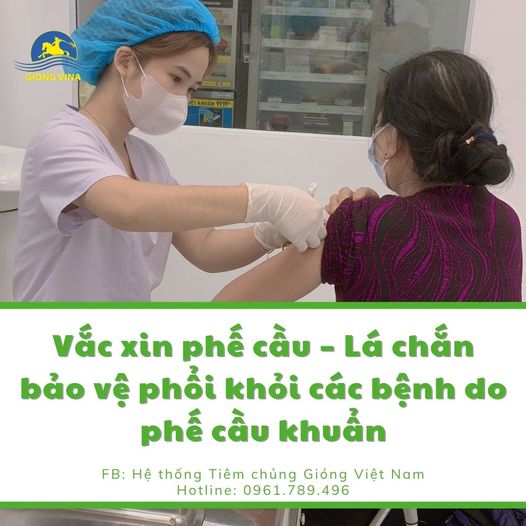 Vắc xin phế cầu - Lá chắn bảo vệ phổi khỏi các bệnh do phế cầu khuẩn