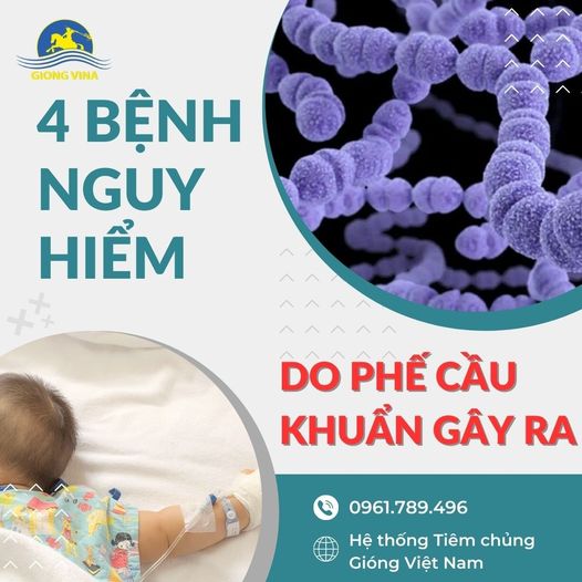 4 bệnh nguy hiểm do phế cầu khuẩn gây ra