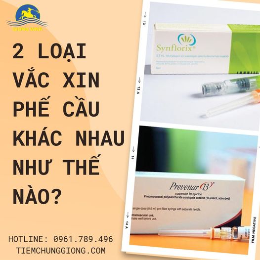 2 loại vắc xin phế cầu khác nhau như thế nào?