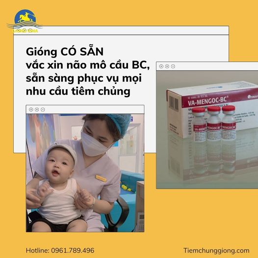 Gióng có sẵn vắc xin não mô cầu BC sẵn sàng phục vụ mọi nhu cầu tiêm chủng