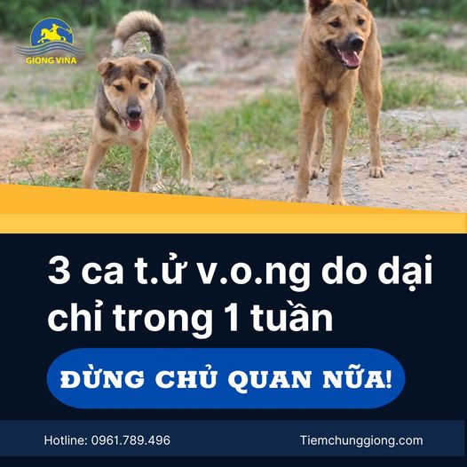 3 ca t.ử v.o.ng do dại chỉ trong 1 tuần – Đừng chủ quan nữa!