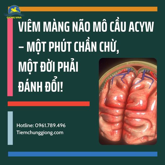 VIÊM MÀNG NÃO MÔ CẦU ACYW - MỘT PHÚT CHẦN CHỪ, MỘT ĐỜI ĐÁNH ĐỔI!