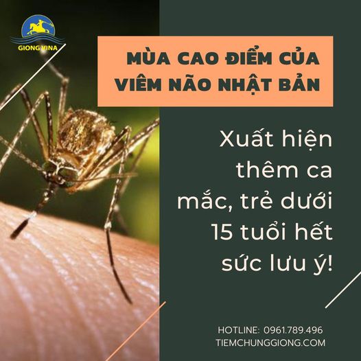 Mùa cao điểm Viêm não Nhật Bản: Xuất hiện thêm ca mắc, trẻ dưới 15 tuổi hết sức lưu ý!