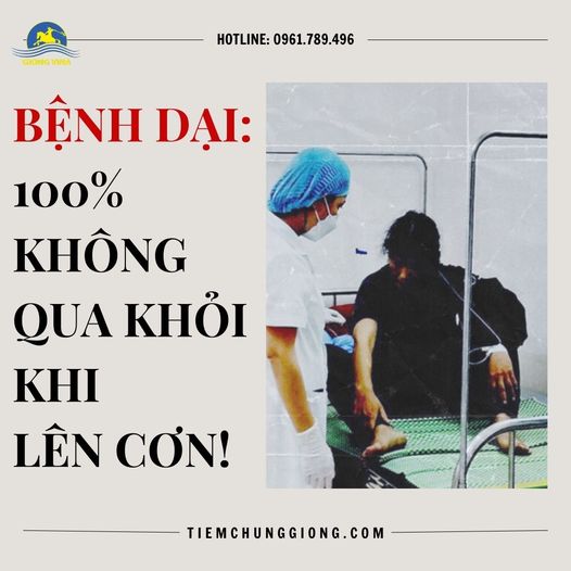 BỆNH DẠI: 100% KHÔNG QUA KHỎI KHI LÊN CƠN!