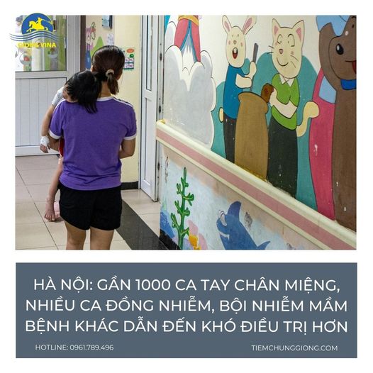 Hà Nội: Gần 1000 CA TAY CHÂN MIỆNG, nhiều ca đồng nhiễm, bội nhiễm mầm bệnh khác dẫn đến khó điều trị hơn