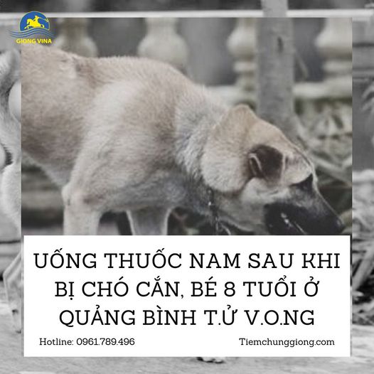 Uống thuốc nam sau khi bị chó cắn, bé 8 tuổi ở Quảng Bình t.ử v.o.ng 