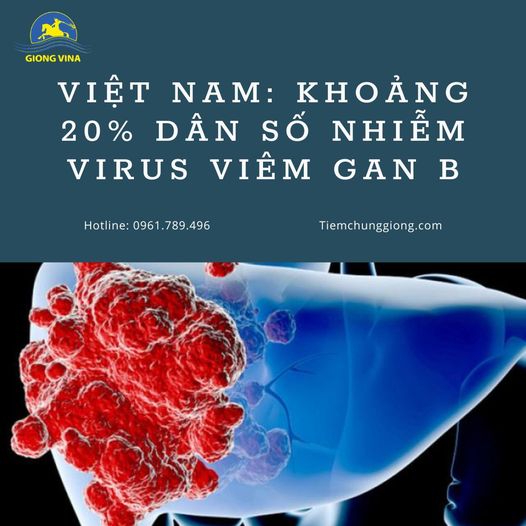 Việt Nam: Khoảng 20% dân số nhiễm virus viêm gan B