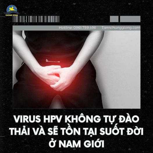 Virus HPV không tự đào thải và sẽ tồn tại suốt đời ở nam giới