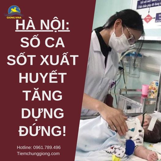 Hà Nội: Số ca sốt xuất huyết tăng dựng đứng!