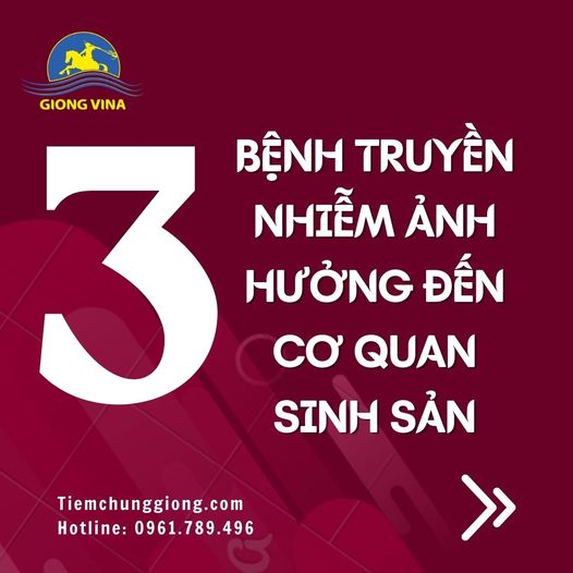 3 bệnh truyền nhiễm ảnh hưởng đến cơ quan sinh sản