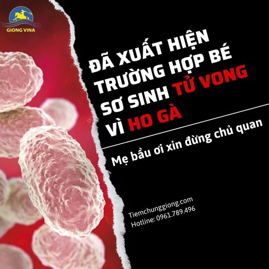 Đã xuất hiện trường hợp bé sơ sinh tử vong vì ho gà. Mẹ bầu ơi xin đừng chủ quan!