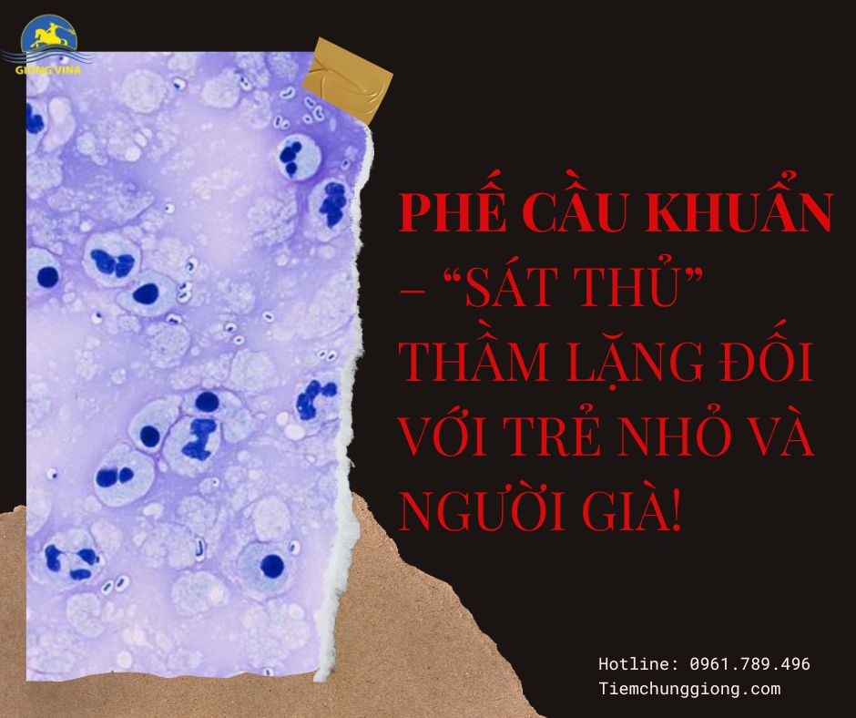 PHẾ CẦU KHUẨN – “SÁT THỦ” THẦM LẶNG ĐỐI VỚI TRẺ NHỎ VÀ NGƯỜI GIÀ!