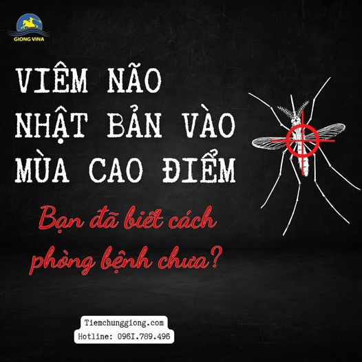Viêm não Nhật Bản vào mùa cao điểm - Bạn đã biết cách phòng bệnh chưa?