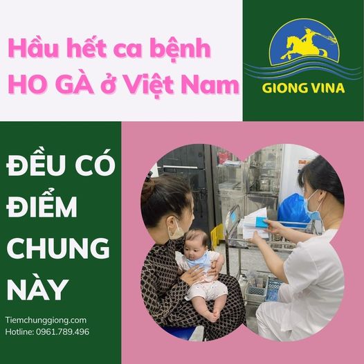 Hầu hết các ca bệnh Ho gà ở Việt Nam đều có điểm chung này