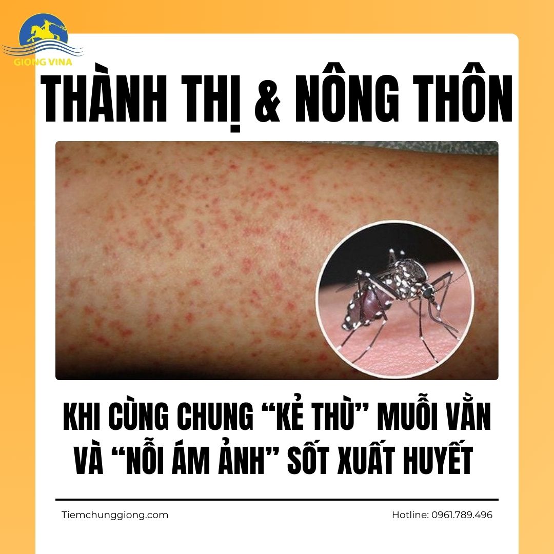 THÀNH THỊ và NÔNG THÔN: KHI CÙNG CHUNG “KẺ THÙ” MUỖI VẰN VÀ “NỖI ÁM ẢNH” SỐT XUẤT HUYẾT 