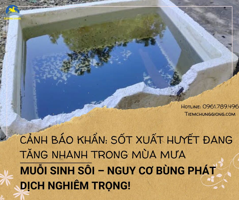 CẢNH BÁO KHẨN: SỐT XUẤT HUYẾT ĐANG TĂNG NHANH TRONG MÙA MƯA - MUỖI SINH SÔI – NGUY CƠ BÙNG PHÁT DỊCH NGHIÊM TRỌNG