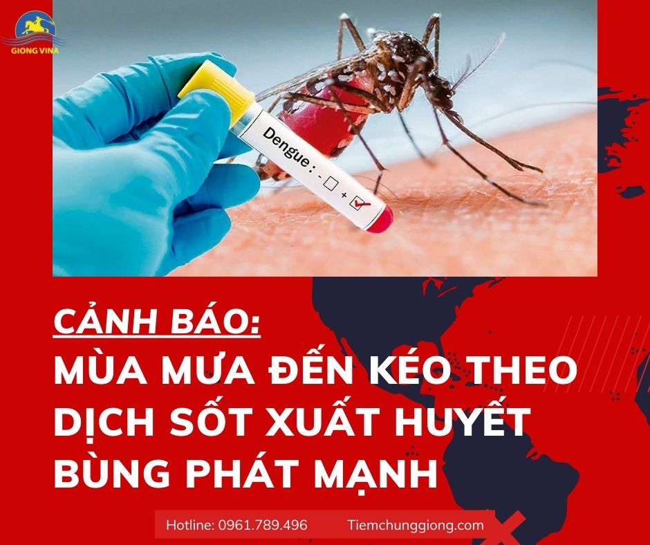CẢNH BÁO: MÙA MƯA ĐẾN KÉO THEO DỊCH SỐT XUẤT HUYẾT BÙNG PHÁT MẠNH 