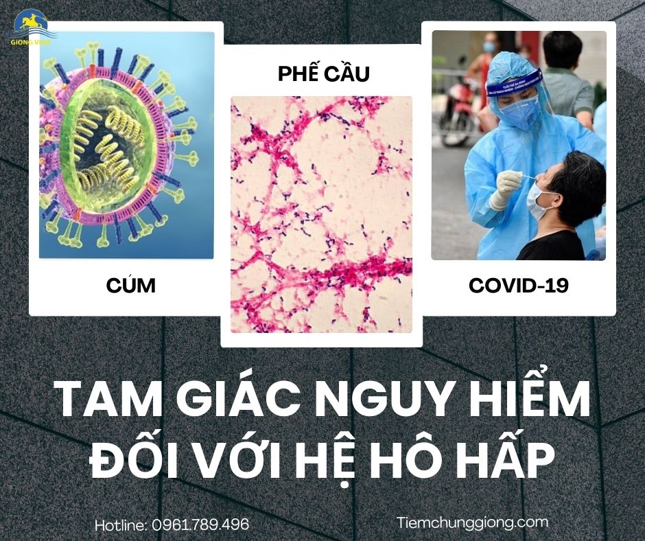 CÚM, PHẾ CẦU & COVID-19: TAM GIÁC NGUY HIỂM ĐỐI VỚI HỆ HÔ HẤP