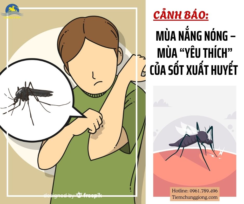 CẢNH BÁO: MÙA NẮNG NÓNG – MÙA “YÊU THÍCH” CỦA SỐT XUẤT HUYẾT 