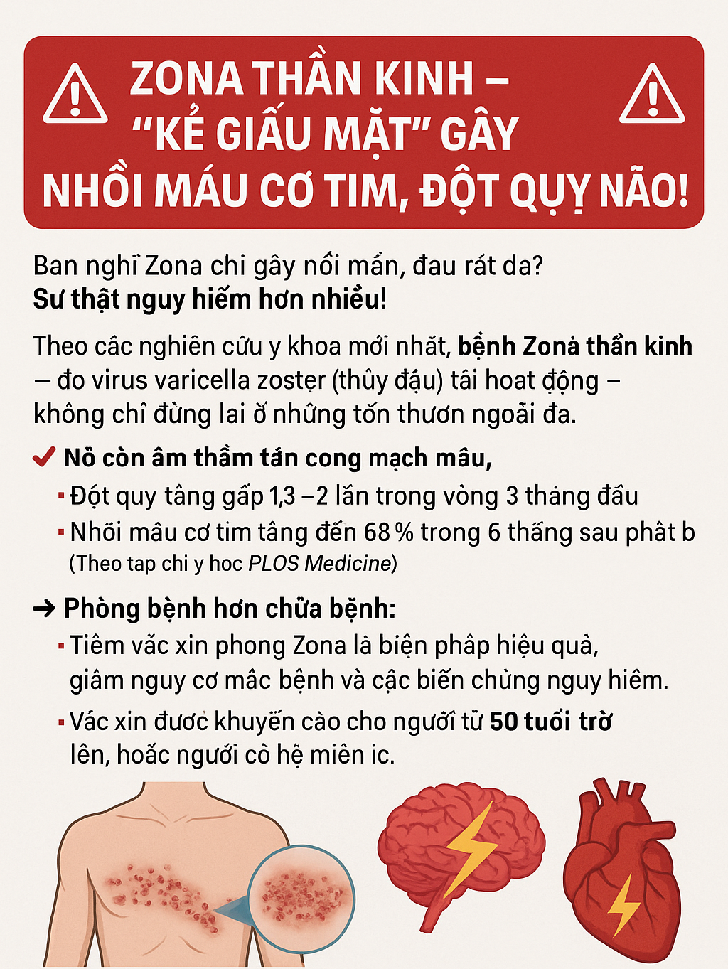 ZONA THẦN KINH – “KẺ GIẤU MẶT” GÂY NHỒI MÁU CƠ TIM, ĐỘT QUỴ NÃO! 