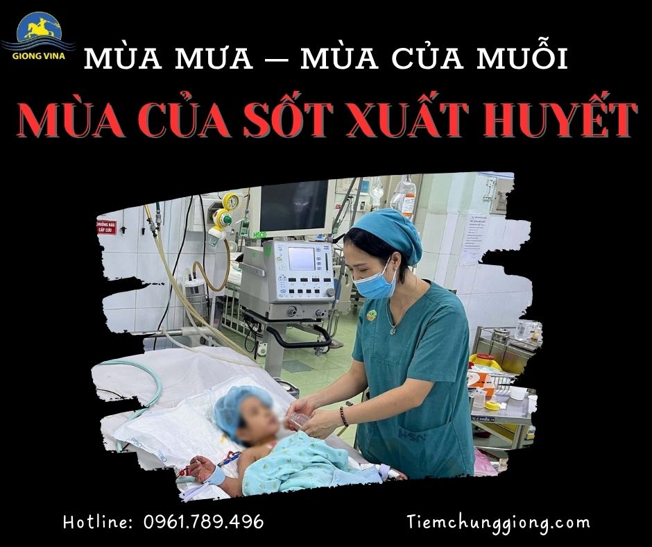 MÙA MƯA – MÙA CỦA MUỖI, MÙA CỦA SỐT XUẤT HUYẾT