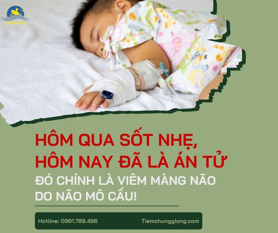 HÔM QUA SỐT NHẸ, HÔM NAY ĐÃ LÀ ÁN TỬ. ĐÓ CHÍNH LÀ VIÊM MÀNG NÃO DO NÃO MÔ CẦU!