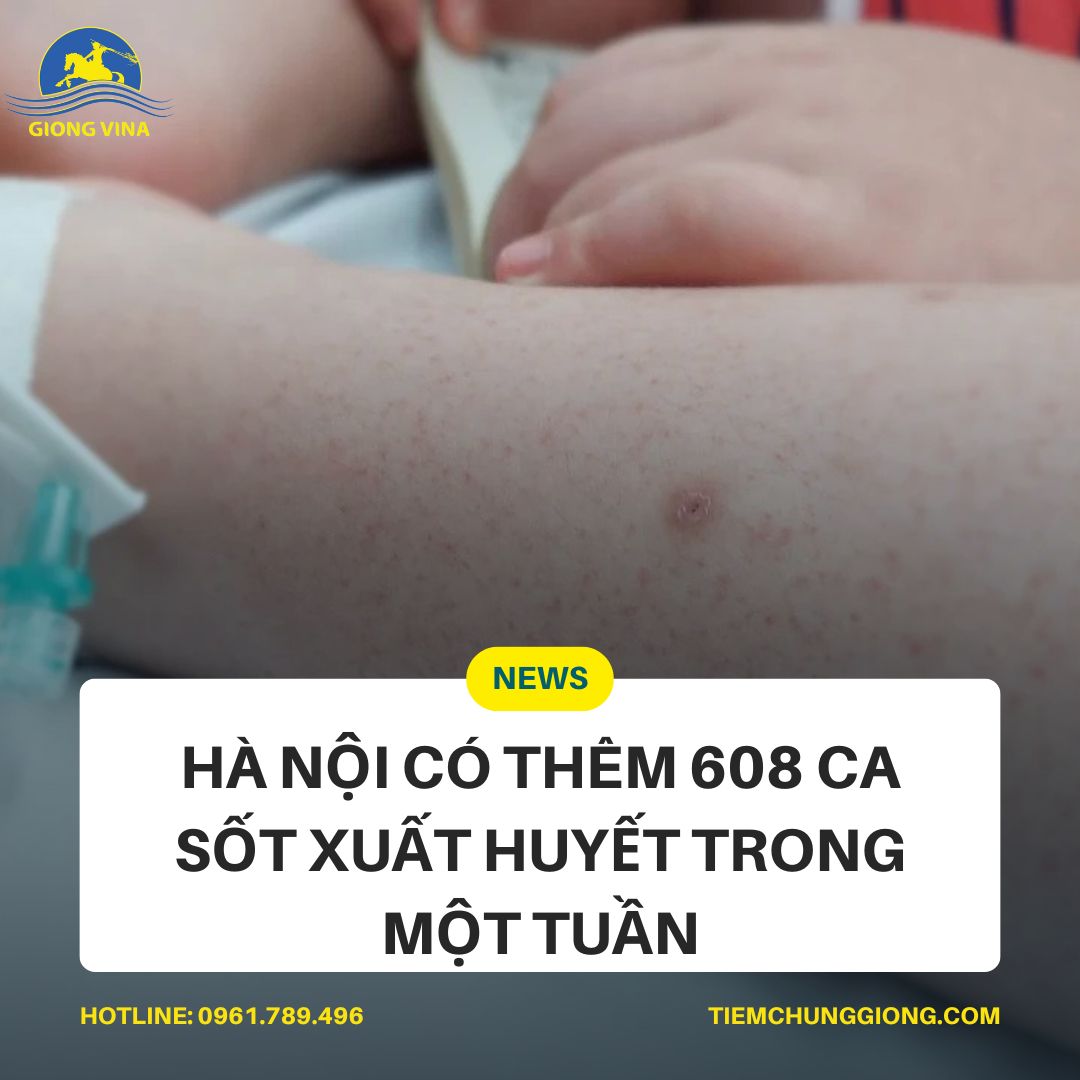 Hà Nội có thêm 608 ca sốt xuất huyết trong một tuần