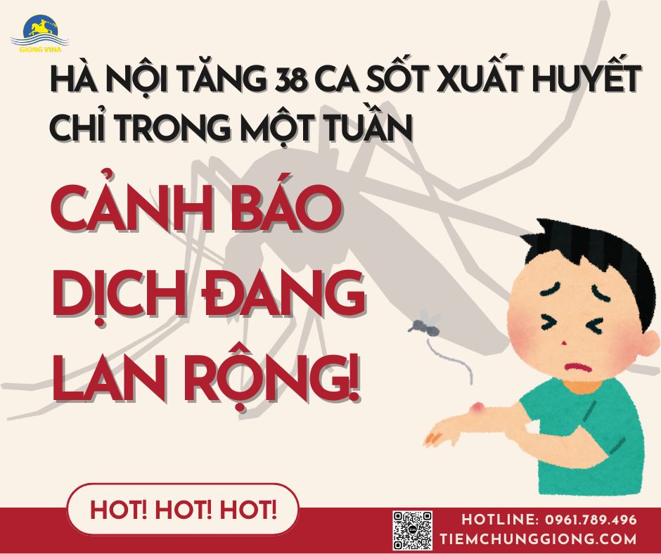 HÀ NỘI TĂNG 38 CA SỐT XUẤT HUYẾT CHỈ TRONG MỘT TUẦN – CẢNH BÁO DỊCH ĐANG LAN RỘNG!
