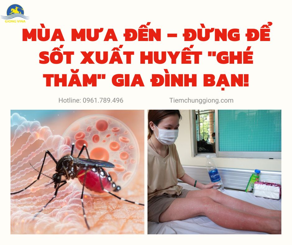 Mùa mưa đến – Đừng để sốt xuất huyết 