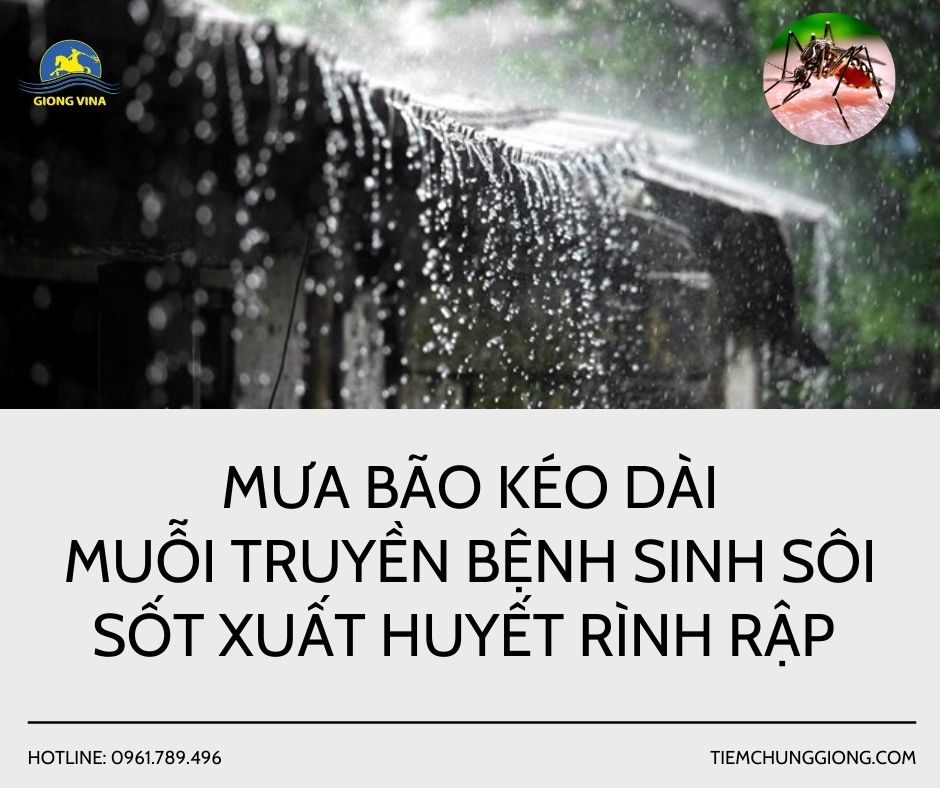 MƯA BÃO KÉO DÀI – MUỖI TRUYỀN BỆNH SINH SÔI, SỐT XUẤT HUYẾT RÌNH RẬP