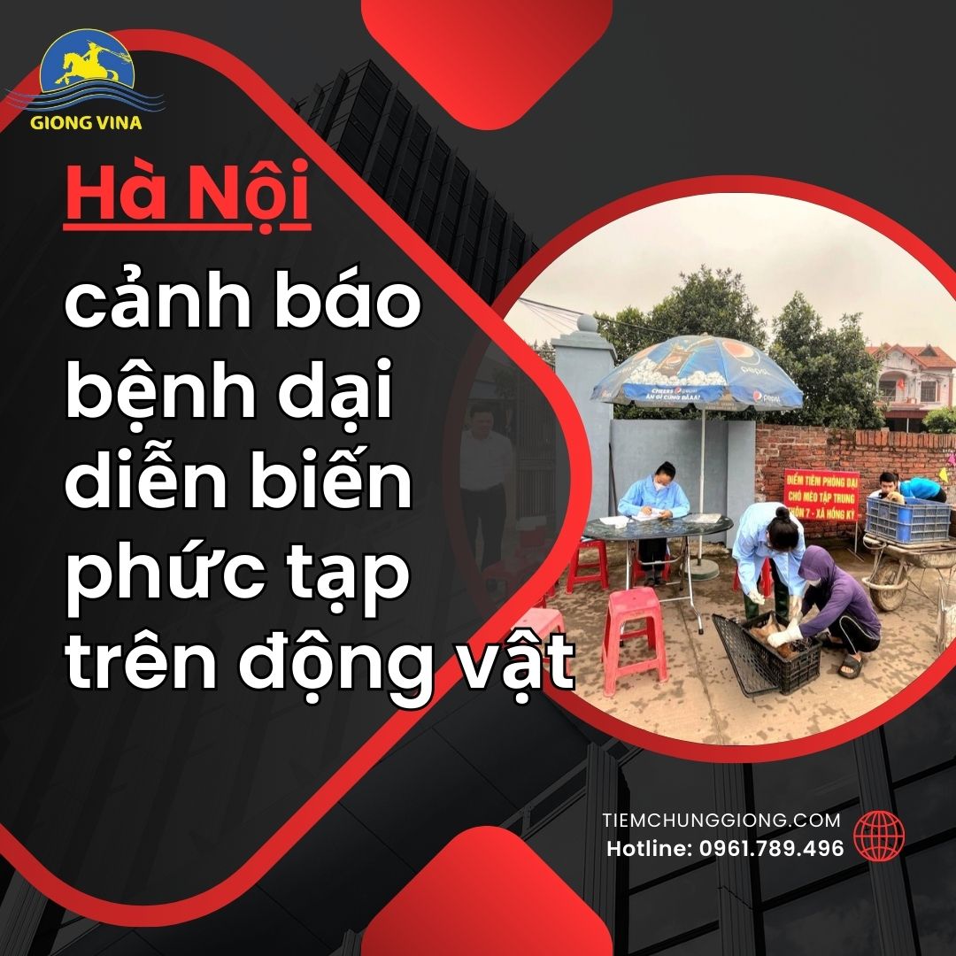 Hà Nội cảnh báo, bệnh dại diễn biến phức tạp trên động vật