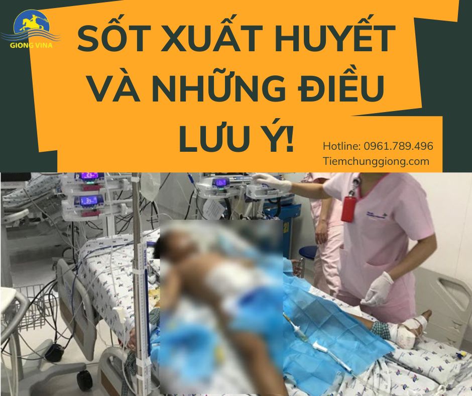 SỐT XUẤT HUYẾT VÀ NHỮNG ĐIỀU LƯU Ý!