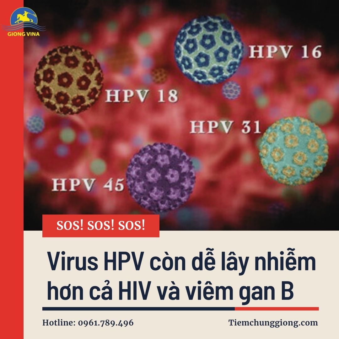 Virus HPV còn dễ lây nhiễm hơn cả HIV và viêm gan B