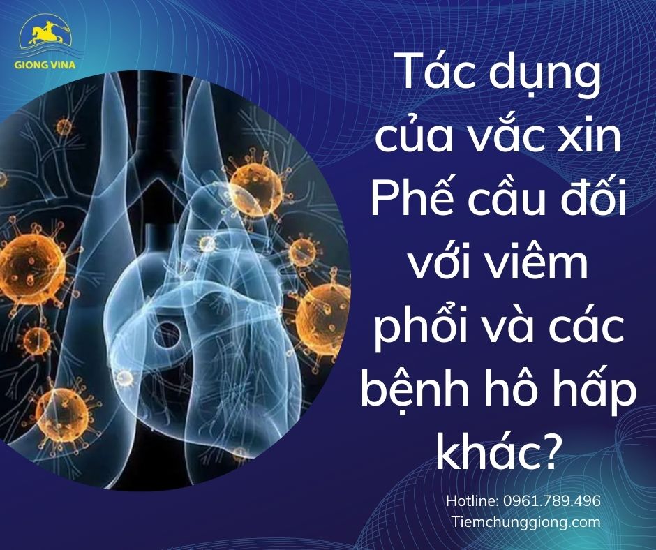 Tác dụng của vắc xin Phế cầu đối với viêm phổi và các bệnh hô hấp khác?