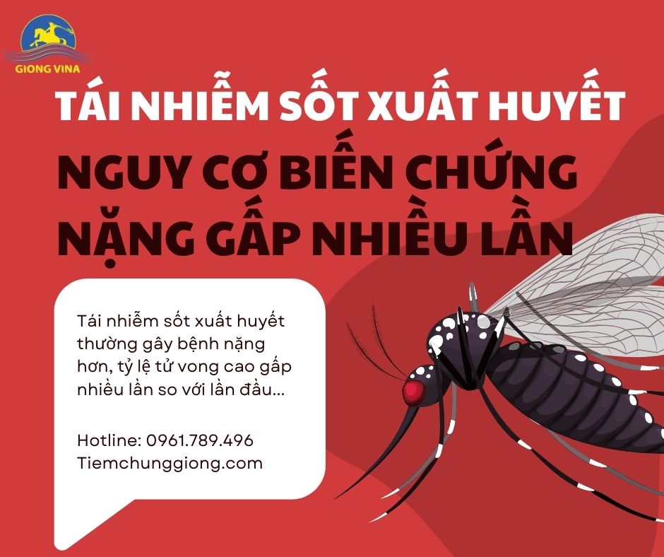 Tái nhiễm sốt xuất huyết  – nguy cơ biến chứng nặng gấp nhiều lần