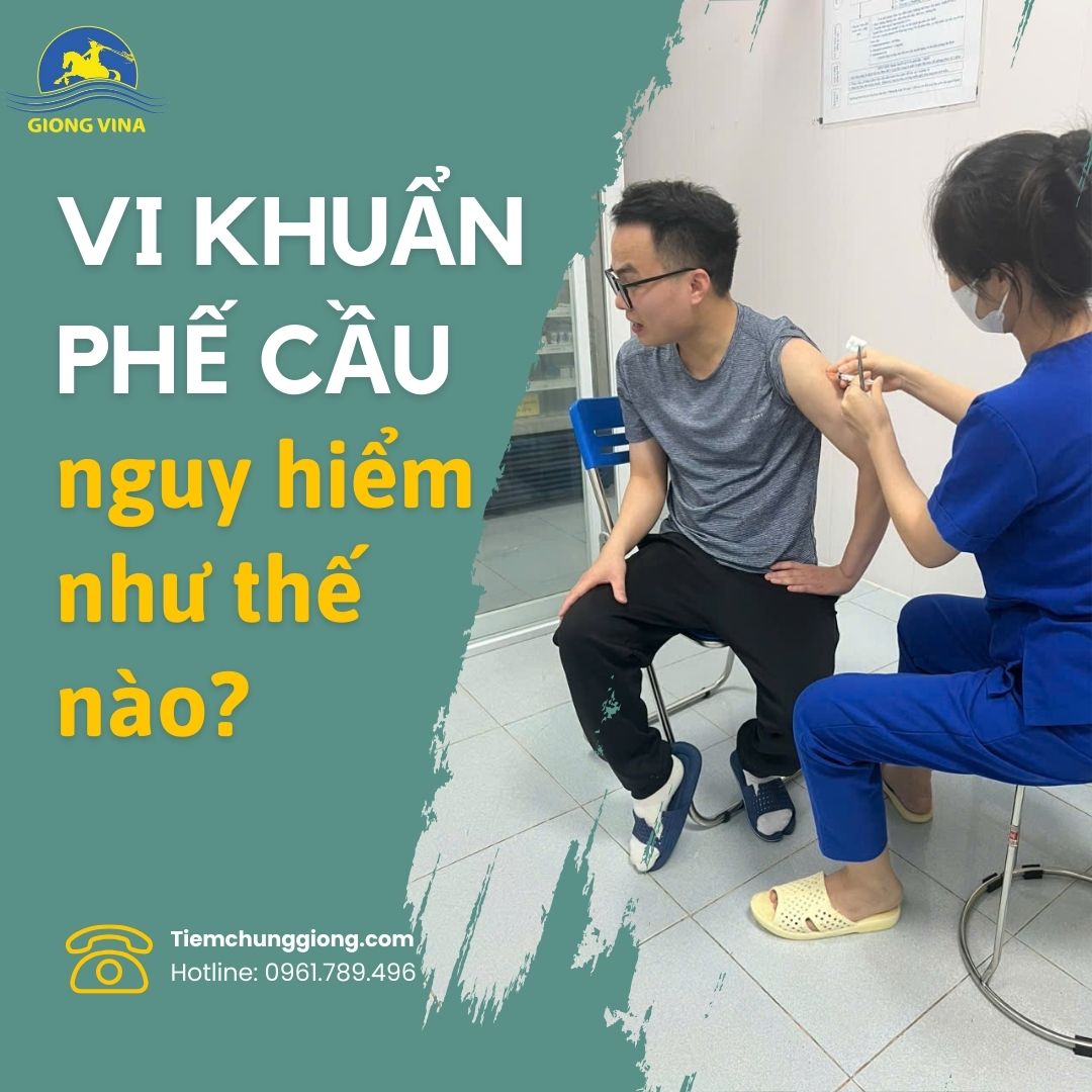 Vi khuẩn phế cầu nguy hiểm như thế nào?