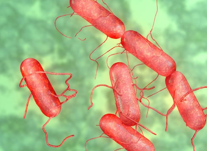  [HOT!!!] - CĂN BỆNH TRUYỀN NHIỄM ĐÃ LÂU KHÔNG THẤY NAY ĐỘT NGỘT XUẤT HIỆN TRỞ LẠI